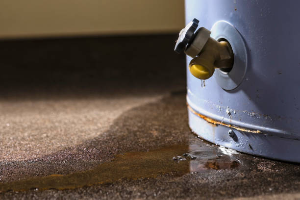 Best Flood damage cleanup  in Eatonville, WA