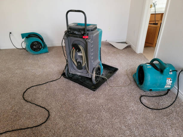 Best Emergency water damage restoration  in Eatonville, WA