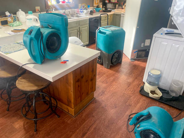 Water damage restoration insurance claims in WA