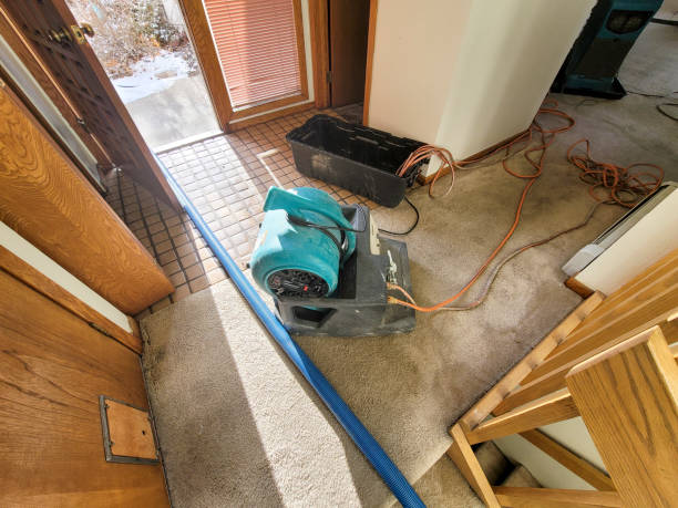 Best Professional water damage repair  in Eatonville, WA