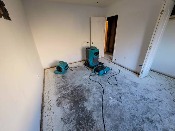 Best 24/7 water damage repair  in Eatonville, WA