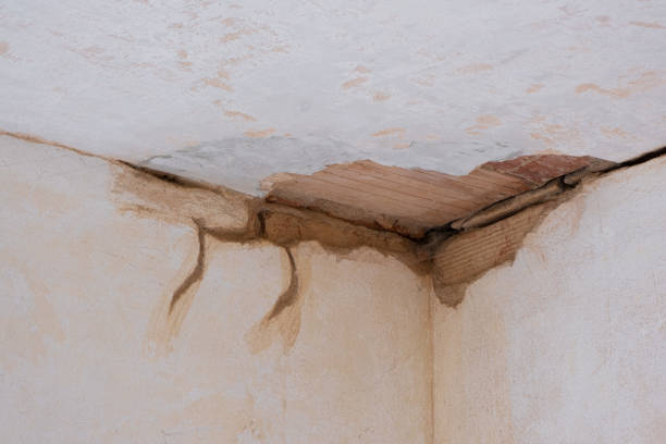 Best Fire Damage Restoration  in Eatonville, WA