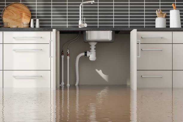 Best Water damage contractors near me  in Eatonville, WA