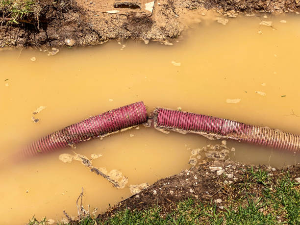 Best Water damage restoration near me  in Eatonville, WA