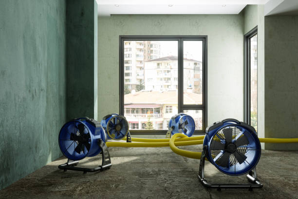Best Local water damage restoration  in Eatonville, WA
